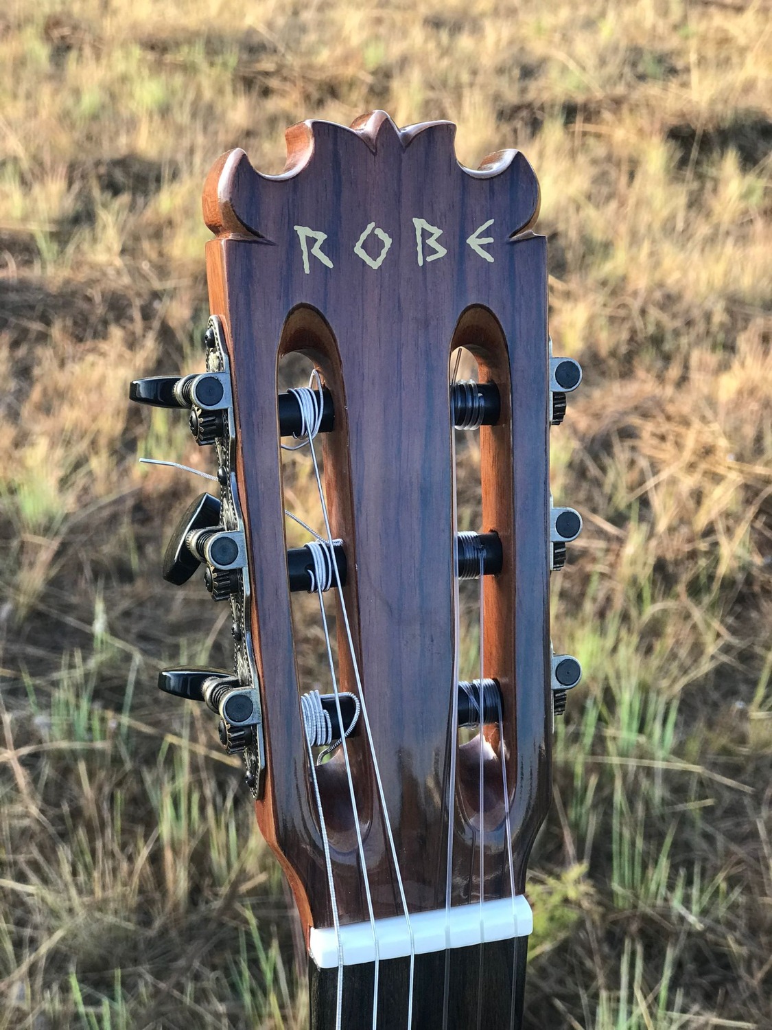 Custom Guitar Bros for ROBE INIESTA (EXTREMODURO)